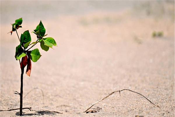 一匹的空调如何省电 一匹的空调如何省电