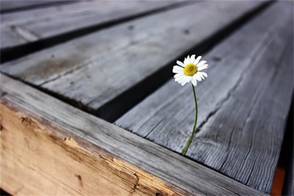 面料甲醛超标是什么原因