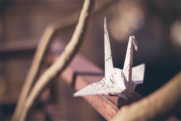 路人缘是什么意思