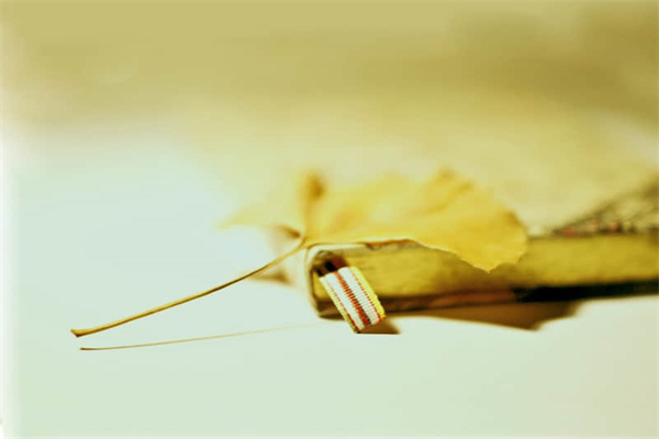 虚荣为什么玩不了