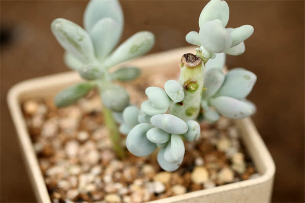 高位天量长阴后怎么办