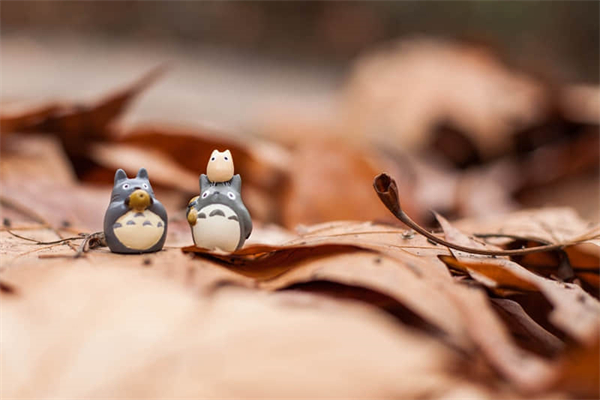 阳春面没有猪油怎么办-无猪油阳春面做法