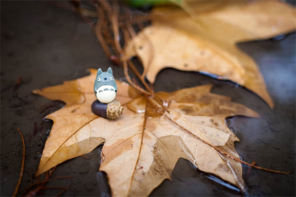 蓝牙是什么?有什么用