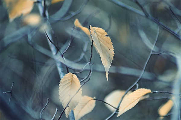 房屋里有臭味怎么办