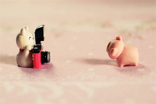 人间白月光是什么意思