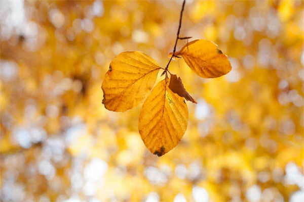 怎么进入冥想状态