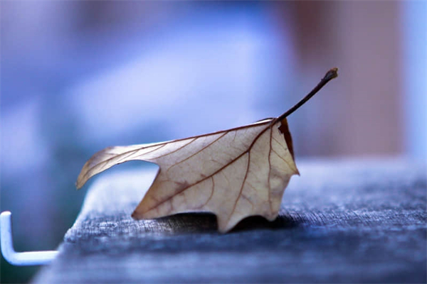 软卧和硬卧有什么区别