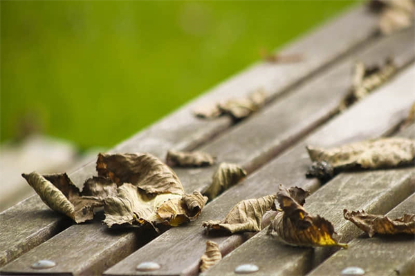 春节给员工发什么礼物