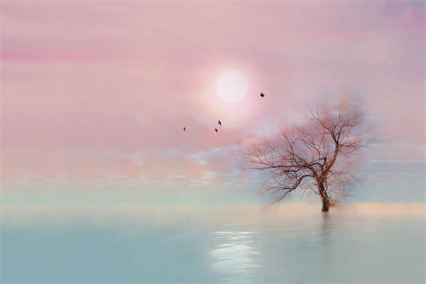 大拿是哪里方言