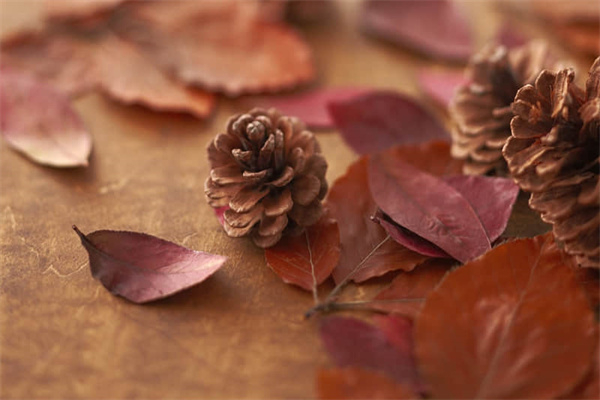 关小雨挑战卡怎么得