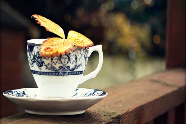 猫咪指甲被剪伤怎么办