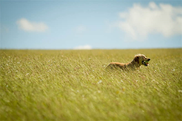 五分裤和七分裤怎么选