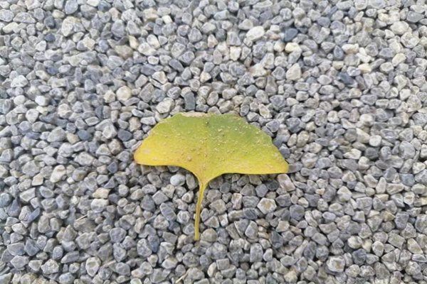 清明节的来历是什么?（清明节的来历是什么 30字）