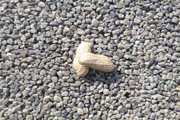 手动挡车如何换挡