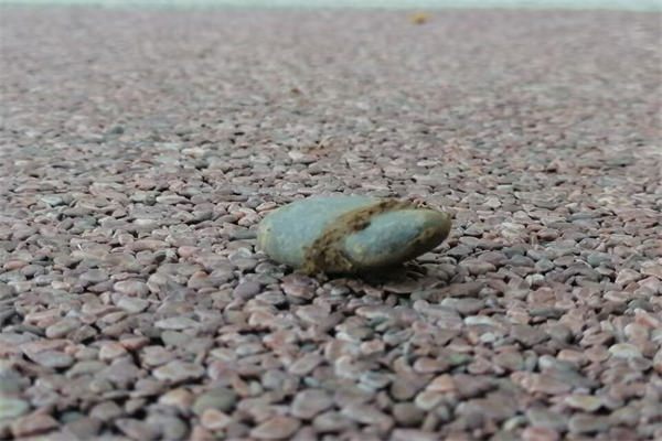 提花与绣花的区别是什么