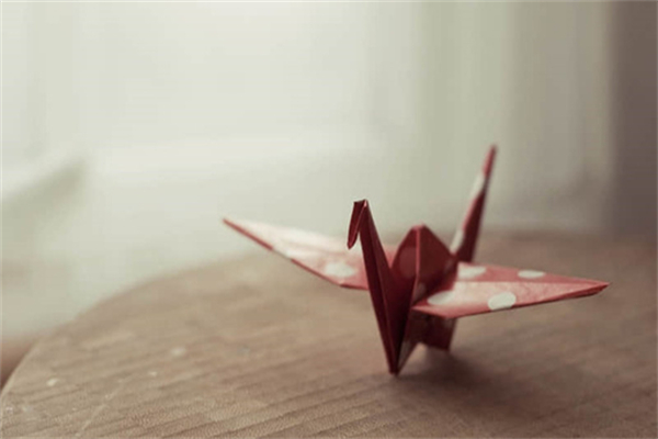 人人都是绽放的花作文1000字