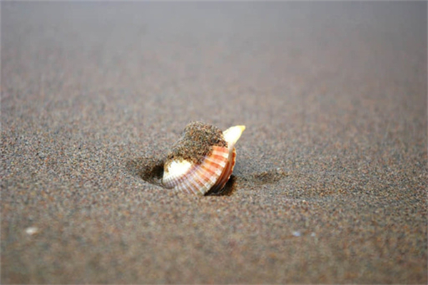 做一个懂得感恩的人