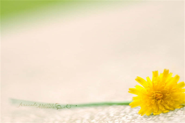 绝望和希望二首