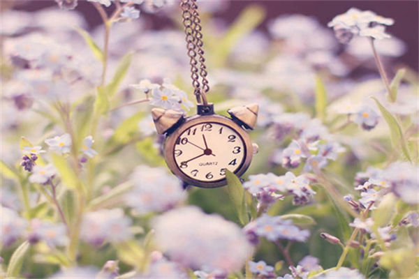 开在我心中的一朵花作文