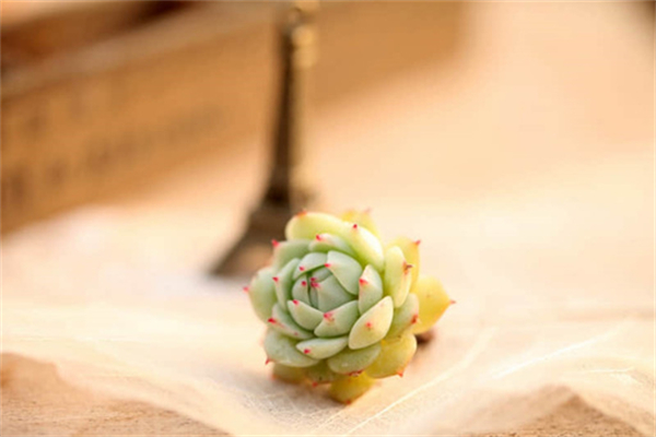 放慢生活的节奏的句子