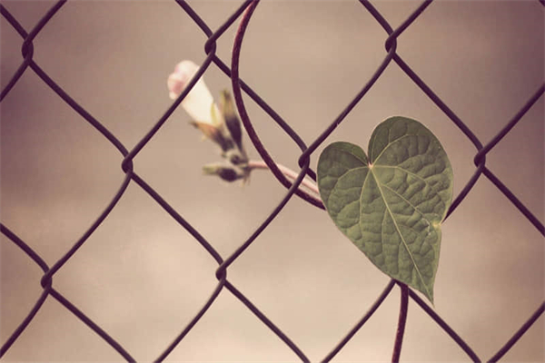 难忘的教师节全新作文摘选