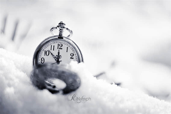 我的书屋,我的家作文1200字