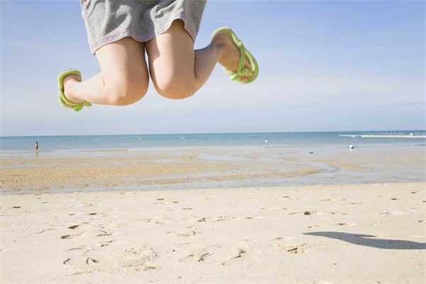 美好的一天500字左右作文