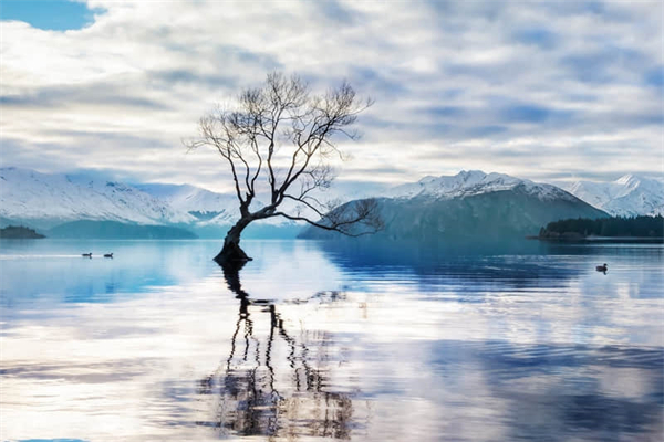 打石榴作文800字