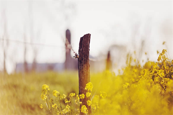 失去人性失去一切作文1000字