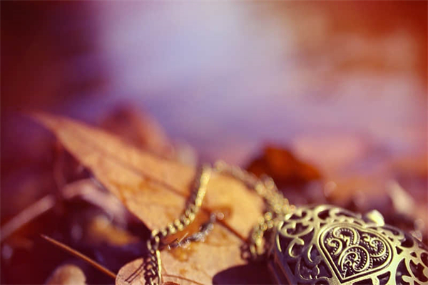 热爱运动的家庭