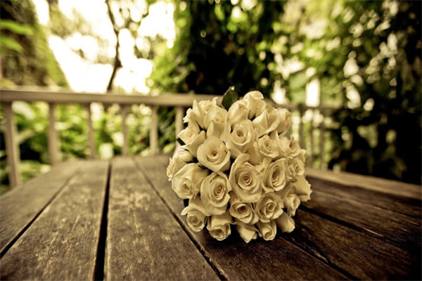 运动会散记-写事的作文300字