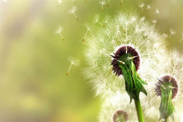 快乐包馄饨作文500字