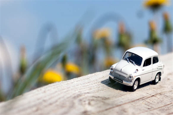 论语读后感八百字