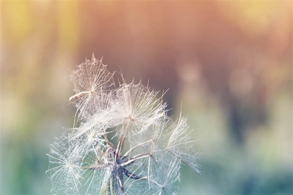 致自己不再年轻的句子