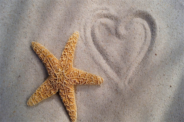 描写石榴的作文300字