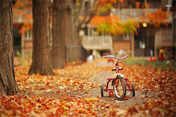 高三作文优秀范文5篇优秀范文