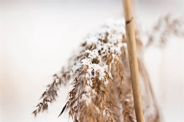 窗外深夜作文500字