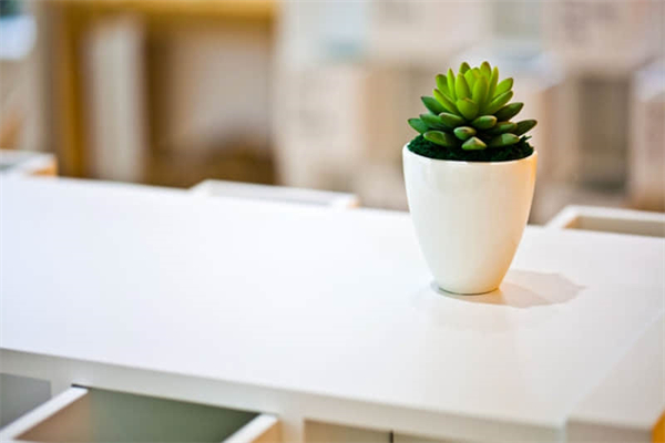 中国的蓝天中国的强国梦作文800字