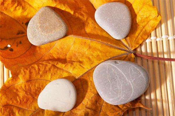 读书的快乐作文300字