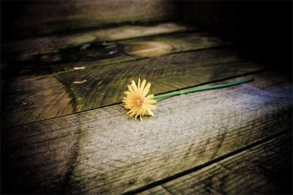 教师节1000字作文优秀范文范文