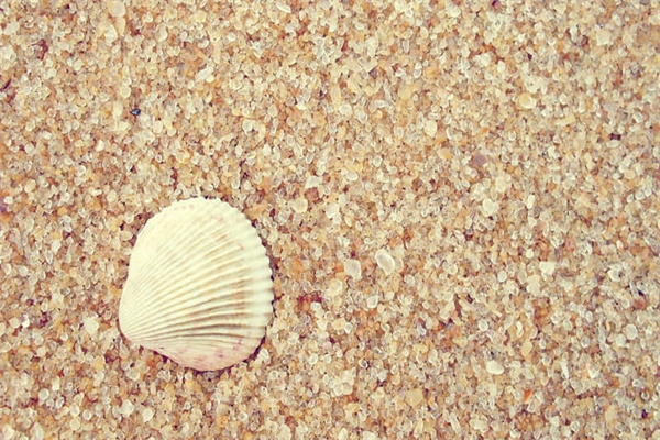 暑假里的趣事作文