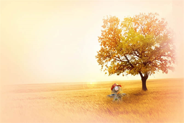 一份不可能完成的作业作文600字