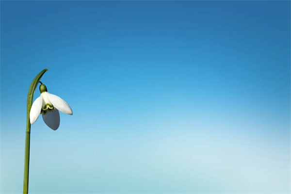 句深入人心的经典句子  夸自己人缘好的简短文案