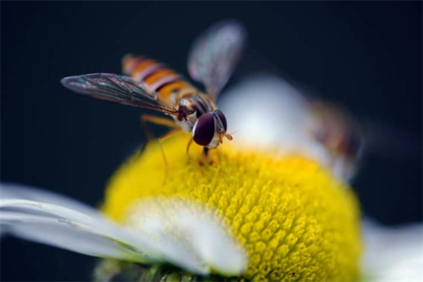 姐妹情深的经典短句  感恩相识 珍惜相遇语句