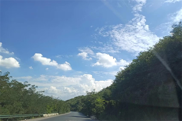 今天我是升旗手作文450字