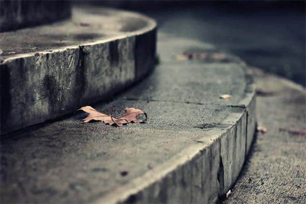 穿越未来作文600字