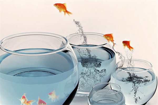 游戏的启示作文