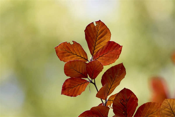 分手后适合发的朋友圈句子