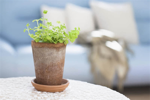 关于痕迹的800字话题作文优秀范文【5篇】优秀范文