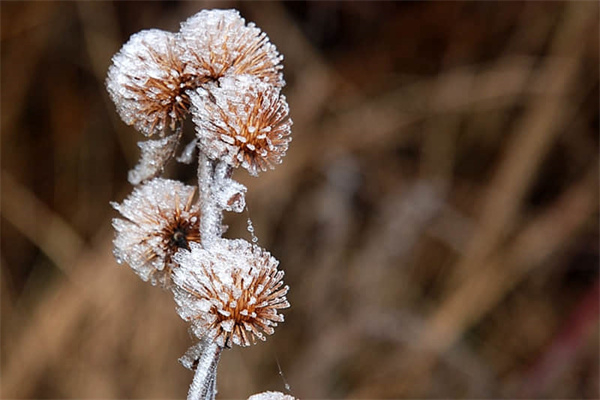 如何让女朋友消气原谅  怎样跟女朋友道歉最有效